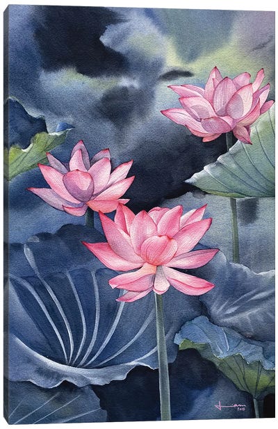 Water Lily III Canvas Art Print - Zen Bedroom Art