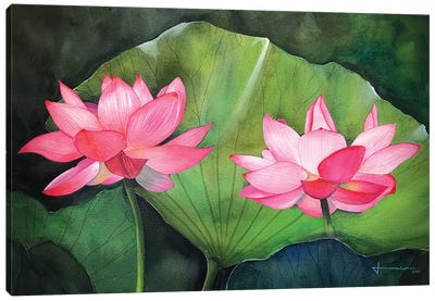 Water Lily IV Canvas Art Print - Lily Art