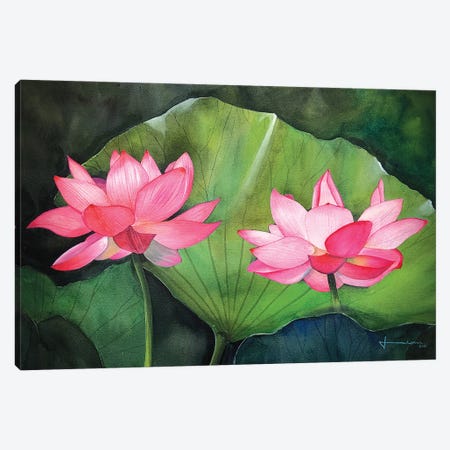 Water Lily IV Canvas Print #LKM57} by Liam Kumawat Canvas Art