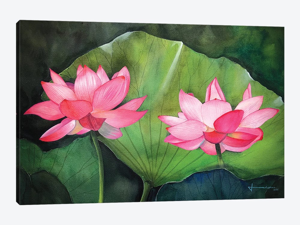 Water Lily IV by Liam Kumawat 1-piece Canvas Artwork