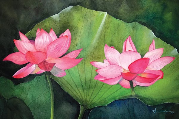 Water Lilies: Water Lily IV by Liam Kumawat