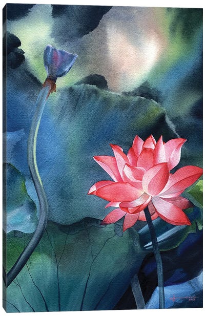Water Lily V Canvas Art Print - Lily Art