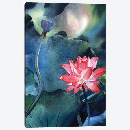 Water Lily V Canvas Print #LKM58} by Liam Kumawat Art Print
