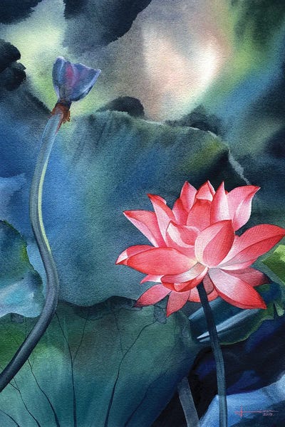 Zen Bedroom: Water Lily V by Liam Kumawat