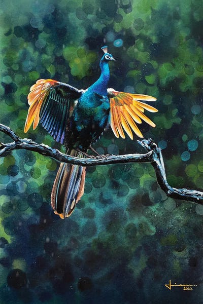 Peacock Take Off by Liam Kumawat canvas print