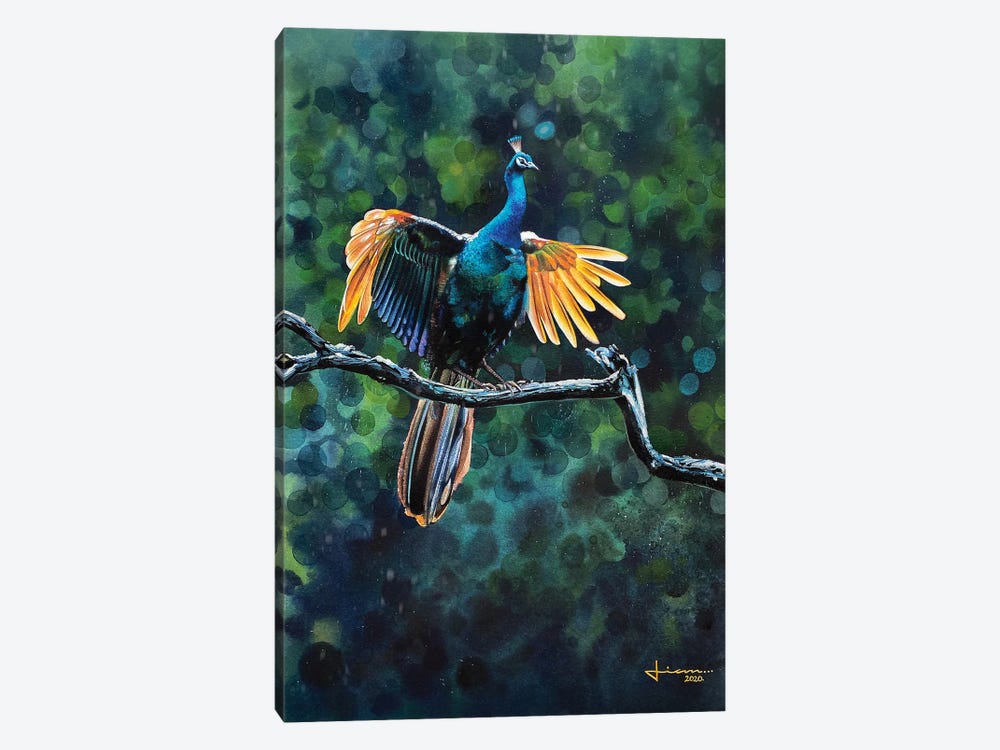 Peacock Take Off by Liam Kumawat 1-piece Canvas Print