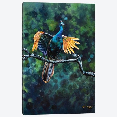 Peacock Take Off Canvas Print #LKM67} by Liam Kumawat Canvas Art Print