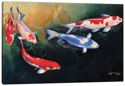 Red and Blue Koi Canvas Art Print - Liam Kumawat