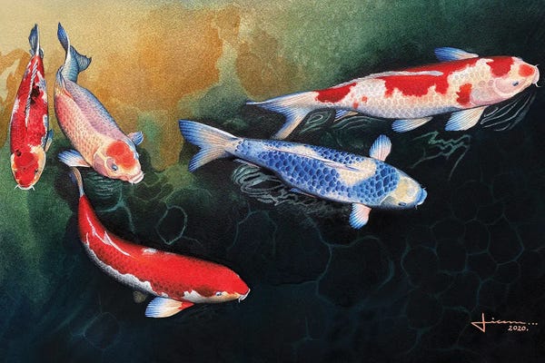 Liam Kumawat: Red and Blue Koi by Liam Kumawat