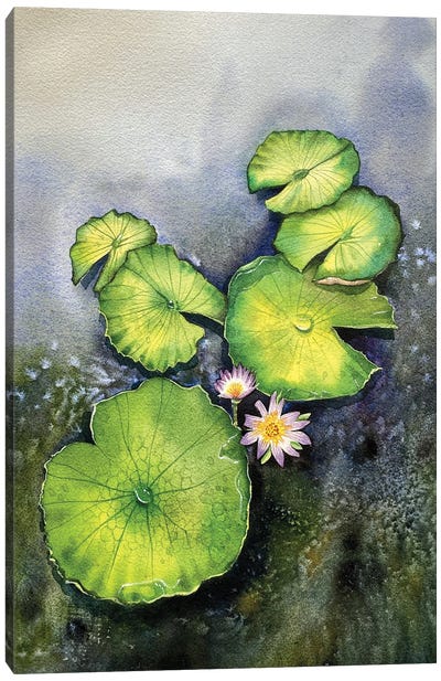 Lilypad and Flowers Canvas Art Print - Lily Art
