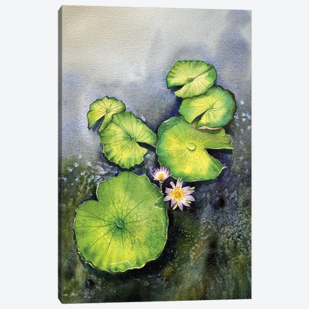Lilypad and Flowers Canvas Print #LKM70} by Liam Kumawat Art Print