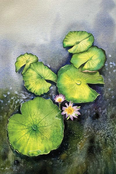 Liam Kumawat: Lilypad and Flowers by Liam Kumawat