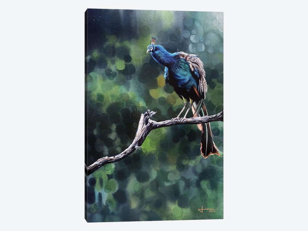 Perched Peacock by Liam Kumawat 1-piece Canvas Art