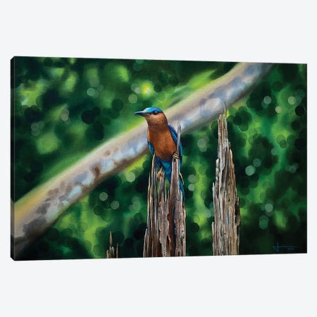 Kingfisher Canvas Print #LKM74} by Liam Kumawat Canvas Artwork