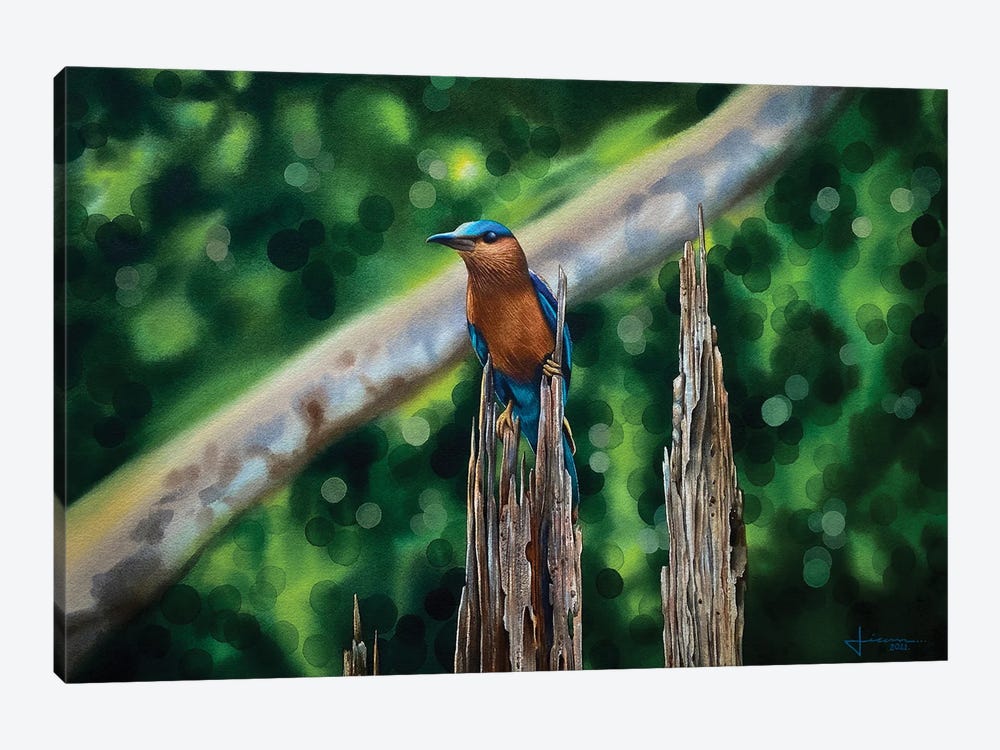 Kingfisher by Liam Kumawat 1-piece Canvas Art Print