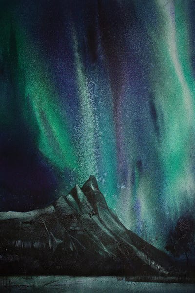 Aurora Borealis: Northen Lights by Liam Kumawat