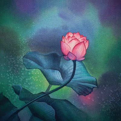 Northern Lights Rose by Liam Kumawat canvas print