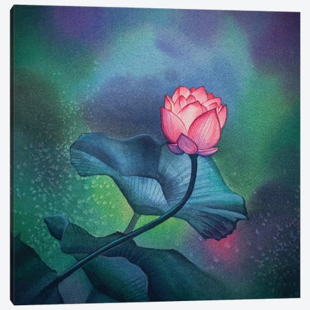 Northern Lights Rose Canvas Print #LKM77} by Liam Kumawat Canvas Art