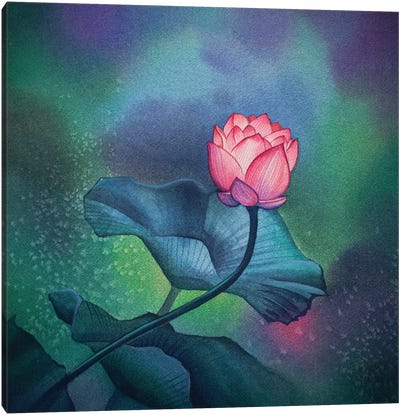 Northern Lights Rose Canvas Art Print - Aurora Borealis Art
