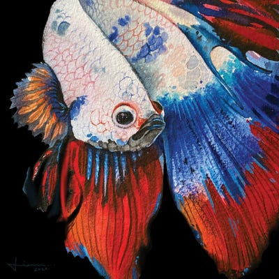 Beta Study II by Liam Kumawat metal wall art