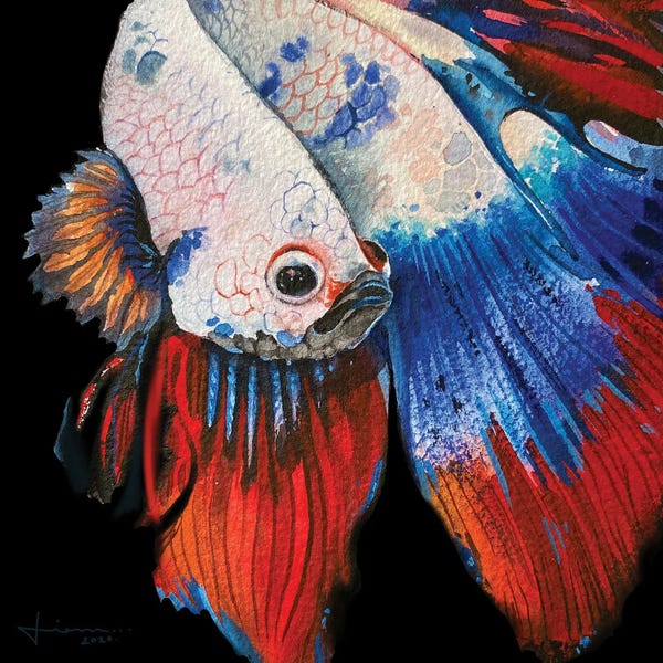 Intricate Watercolors: Beta Study II by Liam Kumawat