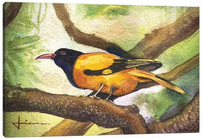 Perched Bird Canvas Art Print - Liam Kumawat