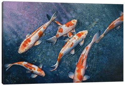 Koi Gasp Canvas Art Print - Koi Fish Art