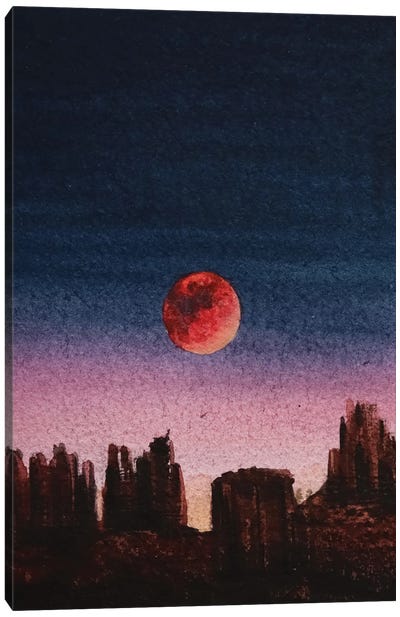 Desert Sunset Canvas Art Print - Liam Kumawat
