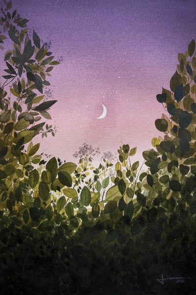 Moon Stewn by Liam Kumawat metal wall art