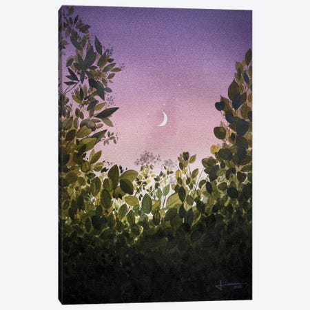 Moon Stewn Canvas Print #LKM89} by Liam Kumawat Canvas Art
