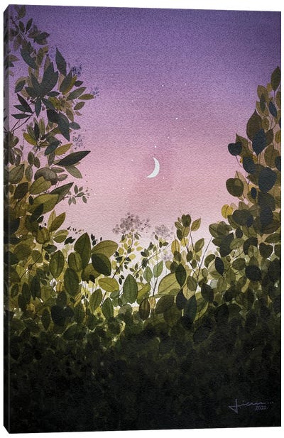 Moon Stewn Canvas Art Print - Nature Renewal