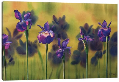 Aligned Canvas Art Print - Iris Art