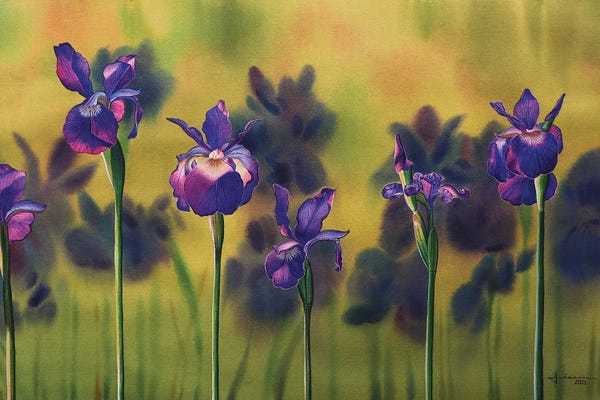 Irises: Aligned by Liam Kumawat