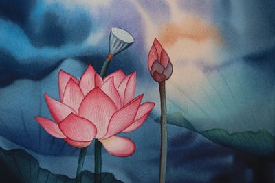 Untitled by Liam Kumawat canvas print