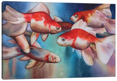Untitled IV Canvas Art Print - Goldfish Art
