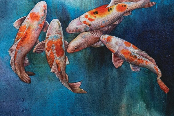 Koi: Untitled VI by Liam Kumawat