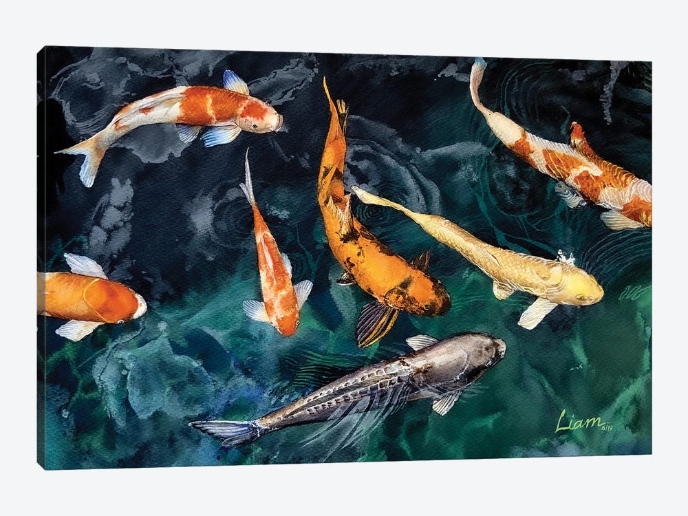 Koi Fish by Liam Kumawat 1-piece Canvas Print