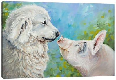 No Difference Canvas Art Print - Pig Art