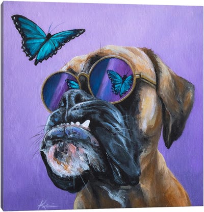 Boxer And Butterfly Canvas Art Print - Insect & Bug Art
