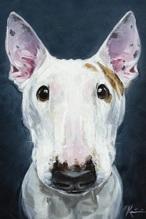 Bull Terrier