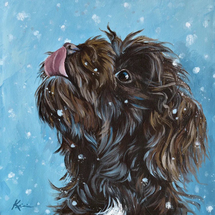 Havanese Catching Snowflakes