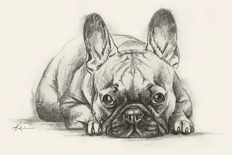 French Bulldog Sketch