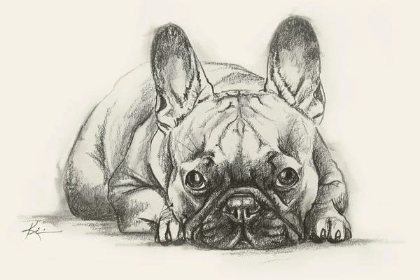 French Bulldogs: French Bulldog Sketch by Lindsay Kivi