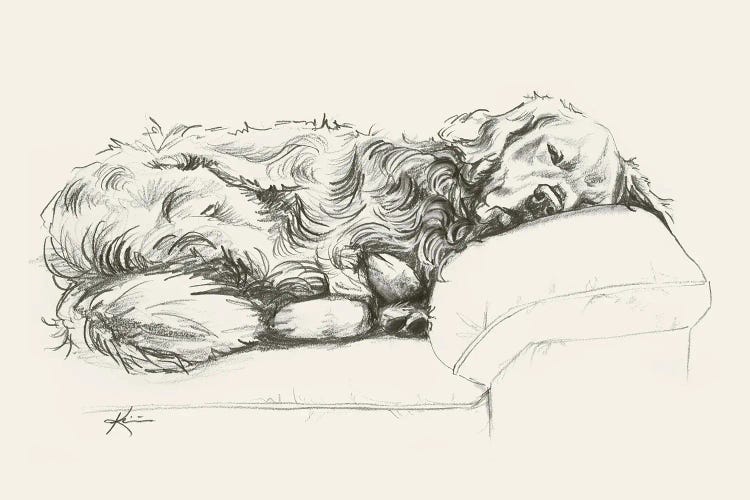 Golden Retriever II Sketch