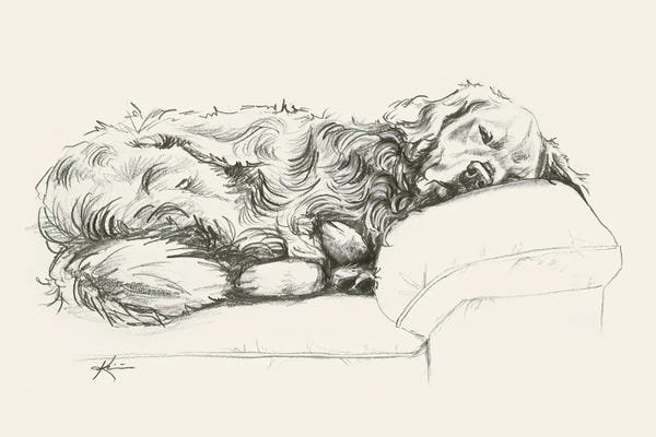 Golden Retrievers: Golden Retriever II Sketch by Lindsay Kivi