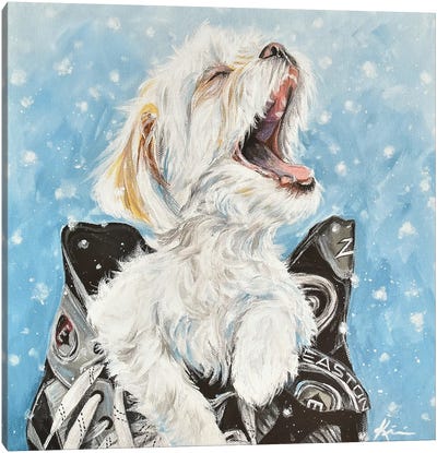 Shichon Catching Snowflakes Canvas Art Print - Lindsay Kivi