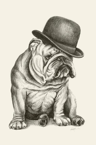 American Bulldogs: Bulldog Boss by Lindsay Kivi