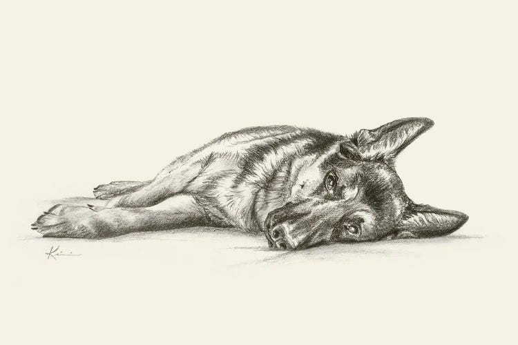 German Shepherd