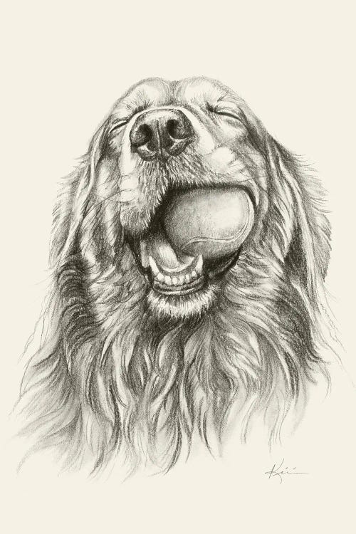 Golden Retriever With Ball