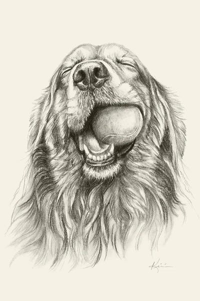 Golden Retriever With Ball